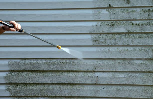 Best Patio and Deck Pressure Washing  in Robbins, IL