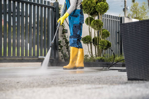 Professional  Pressure Washing Services in Robbins, IL